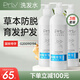 PRLV洗發(fā)水  赫鉆珀菲萊prlv防脫育發(fā)洗發(fā)露 脫發(fā)清潔護(hù)發(fā)男女通用 3瓶【鞏固裝】
