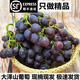 順豐 玫瑰香葡萄大澤山新鮮現摘葡萄甜當季孕婦水果山東非夏黑提 2斤