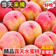 采緹（CAITI）現貨現摘河北春雪水蜜桃大果5斤當季新鮮桃子脆甜孕婦水果整箱 5斤裝 大果