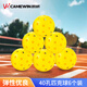 凱威（CAMEWIN）匹克球40孔室內(nèi)室外專業(yè)比賽訓(xùn)練洞洞球體育用品黃色皮克球6個(gè)裝