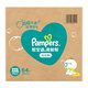 幫寶適（Pampers）清新幫拉拉褲 XXXL64（整箱）