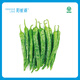 陽(yáng)雀湖【精品】陽(yáng)雀湖辣椒正宗湖南薄皮辣椒炒肉專用 綠色食品 微辣 3斤 禮盒裝