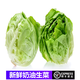 桃李村【順豐】新鮮奶油生菜 西餐沙拉蔬菜 500g