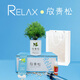 放青松霧松樹植物盆栽書房景觀吸甲醛辦公室桌面綠植創(chuàng)意送禮物 青松禮盒款