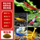 卡奇魚(yú) 觀(guān)賞蝦 活體觀(guān)賞魚(yú) 米蝦 工具清潔蝦寵物蝦黑殼蝦除絲藻褐藻青苔 新手進(jìn)階蝦套餐B