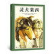 靈犬萊西  世界經(jīng)典動(dòng)物小說(shuō)改編繪本版 一只牧羊犬的千里歸家路