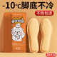 茨格曼 發(fā)熱鞋墊加熱鞋墊【20片】暖腳寶暖腳墊暖足貼防寒保暖男女通用