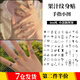海伊朵 草本紋身貼果汁小圖案防水仿真高級感男女潮流半永久手指紋身貼 草本果汁小圖紋身貼【5張1套】
