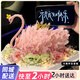 曼恒網(wǎng)紅黑天鵝蛋糕生日蛋糕女神同城配送當(dāng)天配送全國送女朋友老婆 D款天鵝蛋糕 8英寸(適合2-4人)