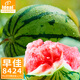 IDEAL早佳8424西瓜種子麒麟瓜種籽冰糖甜西瓜四季春季江淮園藝西瓜種子