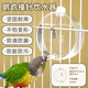 牛寵鸚鵡撞針飲水器玄鳳喂水器虎皮喝水水壺蘆丁雞鴿子用品用具大全 元寶撞針水壺250ml