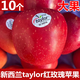 新西蘭泰勒4122紅玫瑰蘋(píng)果進(jìn)口Taylor皇后蘋(píng)果脆甜新鮮水果 10個(gè)（單果190-220g）
