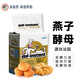 燕子（SAF INSTANT）高活性干酵母法國(guó)樂(lè)斯福燕牌發(fā)酵粉家用面包烘焙包子饅頭耐高糖 耐高糖金燕500g