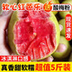粵迎紅心軟糯芭樂果園新鮮現(xiàn)摘【產(chǎn)地直發(fā)】番石榴應(yīng)季廣西低糖水果 5斤精選果【軟糯香甜】凈4.5斤
