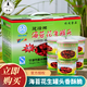 建峰海苔花生罐頭120g寧波特產(chǎn)花生滸苔苔條苔菜花生米 海苔花生120g*5罐