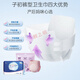 子初衛生巾計量型安心褲產(chǎn)婦專(zhuān)用產(chǎn)褥墊月子大號褲型衛生巾700mm 【共5片】產(chǎn)褥計量型3片+安睡褲2