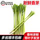 曠古農(nóng)業(yè)【順豐】新鮮香茅草泰式料理冬陰功食材檸檬草奶茶店泡茶香茅 1kg