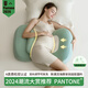 多米貝貝（Tomibaby）孕婦枕頭護腰側(cè)睡枕托腹海豚抱枕U型枕海豚護腰枕-PATONE藍(lán)
