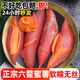 福建六鰲蜜薯新鮮紅薯地瓜富曬沙地種老人愛吃紅心軟糯香甜西瓜紅 5斤大果（單果3兩-1.2斤）