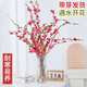 花翁水培鮮枝鮮花干枝花卉植物盆栽帶花苞 桃花50-60cm20枝 源頭直發(fā)
