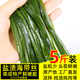 漁人百味鹽漬海帶頭5斤新鮮食材厚海帶海白菜榮成海帶片海帶絲海帶苗3/1斤 2500g 簡裝 鹽漬海帶絲