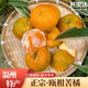 世果達正宗浙江溫州甌柑苦橘丑黃果甘貢歐柑桔麗水特產(chǎn)新鮮水果整箱 5斤裝中果【約5-6個(gè)/斤】