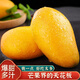 吉果叔 海南小臺(tái)農(nóng)芒果 新鮮小臺(tái)芒當(dāng)季特產(chǎn)水果甜心多汁芒果整箱帶箱 3斤凈重2.8 【普通裝】單果重50-80g