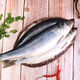 青魚東北沙丁魚新鮮海鮮深海冷水魚懶人之寶鯡魚整箱 500g 平均半斤左右條（滿籽滿油）