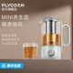 飛科養(yǎng)生壺電熱自動(dòng)小型辦公室燒水壺煮茶器多功能便攜式電熱壺 綠色 0.6L 【TK3802】