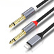 威焱適用于蘋果Lightning轉(zhuǎn)雙6.5音頻線蘋果手機平板轉(zhuǎn)接6.35mm接口連接音響音箱調(diào)音臺功放音頻轉(zhuǎn)接線 蘋果轉(zhuǎn)雙6.5線【2米】