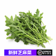 桃李村【順豐】新鮮芝麻菜 火箭菜 西餐蔬菜 沙拉菜 生菜 500g