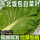 風車車農場【順豐】東北大白菜葉子 飯包白菜葉 打飯包菜葉 東北蘸醬菜 20片（配醬）