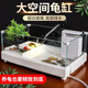 森森（SUNSUN） 烏龜缸帶曬臺(tái)生態(tài)龜缸烏龜飼養(yǎng)箱家用水陸缸養(yǎng)龜缸生態(tài)烏龜缸 大號(hào)龜缸49cm+過濾器+鵝軟石
