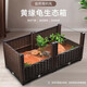 邦可臣黃緣龜飼養箱養烏龜專(zhuān)用生態(tài)缸陸龜半水龜缸造景箱安緣臺緣養殖箱 2聯(lián)箱+亞克力板2塊