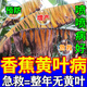香蕉黃葉病香蕉專用要黑斑葉斑炭疽枯褐斑萎病殺菌劑一噴綠葉面肥 香蕉樹專用藥【1瓶裝】