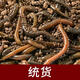 現貨活體青蚯蚓釣黃鱔蚯蚓臭蚯蚓松土蚯蚓釣魚(yú)活餌鮮活青皮青蚯蚓 小號1斤 發(fā)順豐