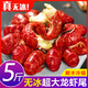 龍蝦尾冷凍鮮活小龍蝦無(wú)冰衣龍蝦尾特級大號蝦球鮮凍批發(fā)生鮮整箱 無(wú)冰蝦尾（大號5斤）約90只/斤