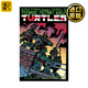 Teenage Mutant Ninja Turtles Color Classics Vol.1 忍者神龜 英文原版 彩色經(jīng)典 卷一 IDW 漫畫(huà) 進(jìn)口原版圖書(shū) 全英文版