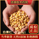 北京同仁堂同質(zhì)原料 白果仁干貨250g克中藥材干果銀杏果大顆去殼大白果新鮮生