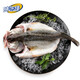味爾佳 三去清蒸鱸魚(yú)1斤（含調(diào)料包）海鱸魚(yú)生鮮魚(yú)類(lèi) 海鮮水產(chǎn)
