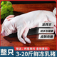 渝西王白條小乳豬新鮮整只商用半成品小香豬精品長(cháng)尾小耳朵豬 凈重4-5斤 新鮮日期（內臟去除）