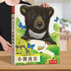 樂(lè )樂(lè )趣觸摸書(shū)嬰兒寶寶繪本0-3歲地板書(shū) 小兔比利小熊波比亮麗精美觸摸書(shū) 蒙氏早教睡前故事書(shū)幼兒圖書(shū)啟蒙洞洞翻翻機關(guān)書(shū) 觸摸書(shū)-小熊波比
