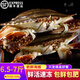 梭子蟹大號10斤螃蟹 鮮活速凍 海蟹生鮮 海鮮蟹類(lèi) 6.5-7斤凈重 單只300-500g