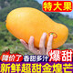 廣西特大超甜金煌芒果10斤新鮮水果整箱應當季金煌芒鮮果超大芒果 【半斤】特惠嘗鮮