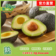 牛油果先生牛油果先生（輕食）秘魯應(yīng)季當(dāng)季新鮮進(jìn)口水果即食牛油果（熟果） 大果4個(gè)裝（單果重160g+） 熟果