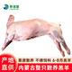 享滋堂內(nèi)蒙古散養(yǎng)羔羊肉生鮮全羊原切羊排整條羊腿烤全羊烤羊腿企業(yè)團(tuán)購 內(nèi)蒙古全羊30斤（送禮優(yōu)選）