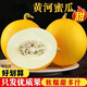果農(nóng)俠黃河蜜瓜甜瓜水果新鮮當(dāng)季小甜瓜香瓜哈密黃金 5斤