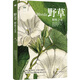“天際線”叢書：野草：野性之美