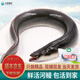 鹿凌青 鮮活鰻魚(yú) 白鰻魚(yú) 現捕現發(fā) 冰鮮海鰻 海鮮水產(chǎn) 生鮮魚(yú)類(lèi) 【鮮活河鰻】1條(1.6-1.7斤/條)