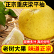 良知農哥重慶特產(chǎn)梁平柚 梁山柚麻柚子平頂柚 50斤大果約20-24個(gè)